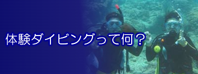 体験バナー
