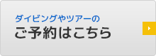 ダイビングやツアーのご予約はこちら