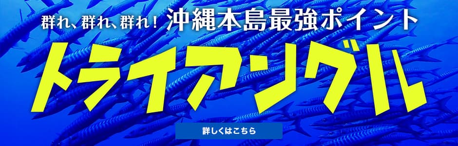 群れ、群れ、群れ！沖縄本島最強ポイント「トライアングル」へ挑戦！