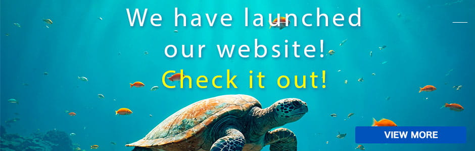 We have launched our website! Check it out!