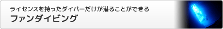 ライセンスを持ったダイバーだけが潜ることができるファンダイビング