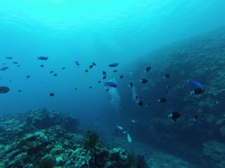 13/09/02　生まれては消え、また生まれる　慶良間