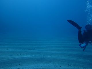 13/10/10　人は失った後にその大切さに気づく　慶良間