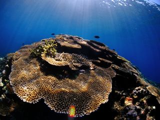 13/10/25　ようやく・・・いなくなっていった台風27号　沖縄本島