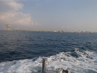 131205umi.JPG