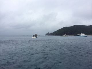 13/12/17　慶良間海域保全活動に参加です。　慶良間