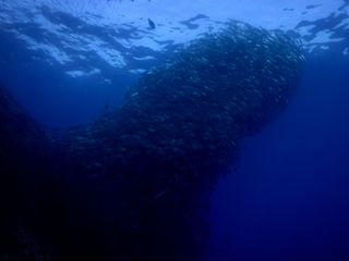 140706aguni1.jpg