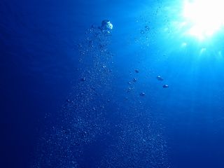 140822 umi.jpg