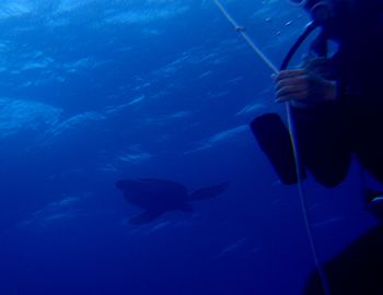 15/05/03　ゴールディンウィーク中盤戦が終了して明日から終盤戦へ！そしてダイブマスター認定おめでとう！　砂辺、慶良間