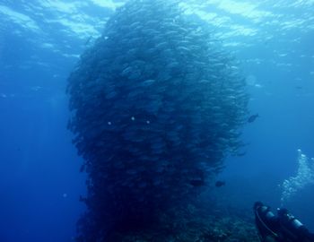 150510aguni2.jpg