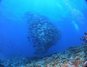 15/06/10　これが沖縄の海のポテンシャルです。　粟国、万座