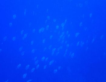 1506302.jpg