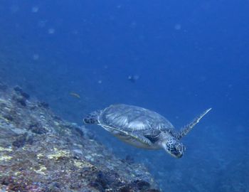 16/03/12　晴れって気持ちが良い！！　慶良間、万座