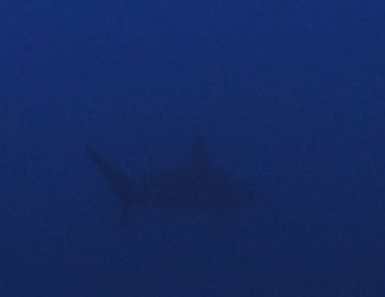 16040810.jpg