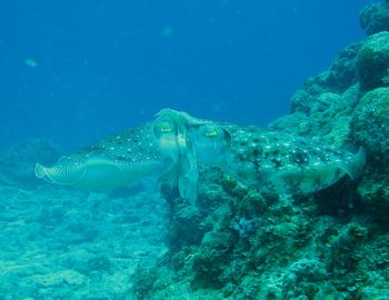 16/04/18　うねりと波と講習です。　慶良間、奥武島