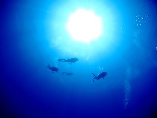 17/02/01　インスタグラムやってます。　沖縄本島