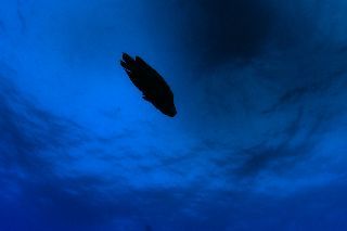 170707 napo.jpg