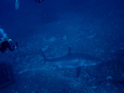 21/12/15　沖縄本島最強ポイント「トライアングル」へ。2022年日程