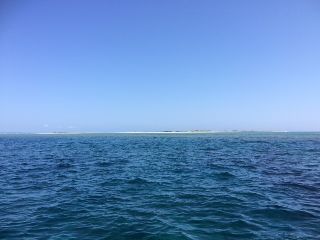 1805131.JPG