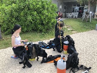1806091.jpg