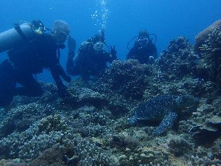 18/06/30　なぜ週末に・・。　慶良間、万座