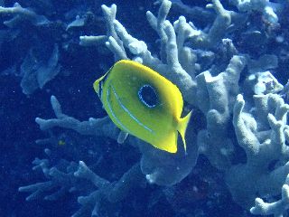 180818 umituki.jpg
