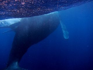 19/01/23　到着後、学科の前に！　沖縄本島