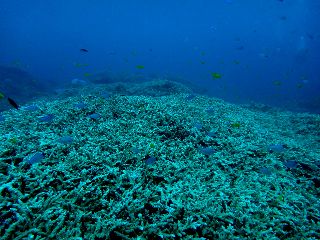 19/03/15　コロコロ天気や海況が変わります。。。　チービシ、慶良間