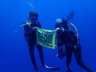 190418 1200dive.jpg