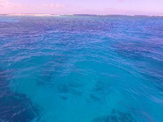 190806 umi2.jpg