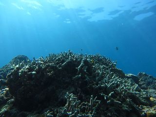 19/09/10　のんびり、まったりと。　チービシ諸島