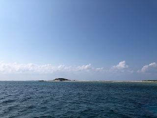 1910081.jpg