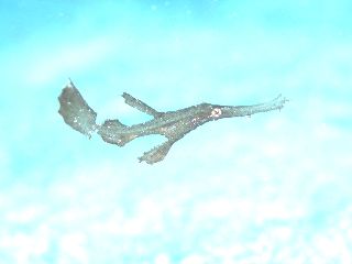 19100811.JPG