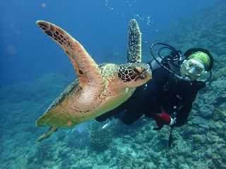 20/03/06　自宅待機って言われましても。　慶良間、チービシ