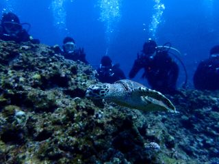 20/03/09　ガラガラの沖縄は快適です。　慶良間