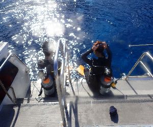 201003 entry.JPG