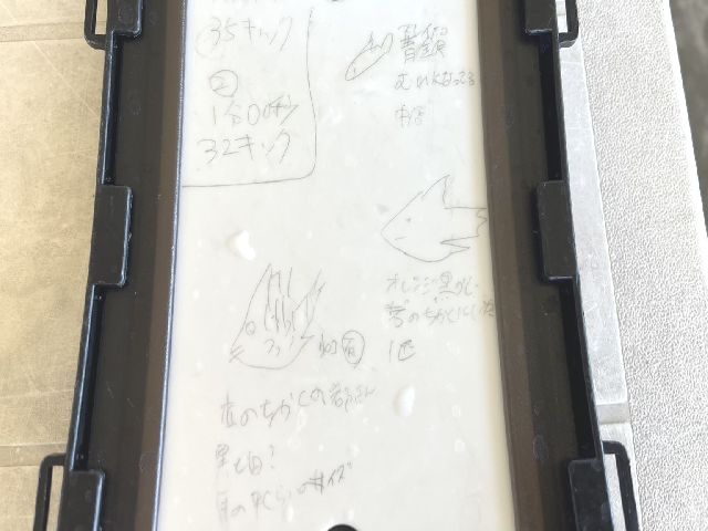 26/07/01　7月スタート　那覇シーサイドパーク