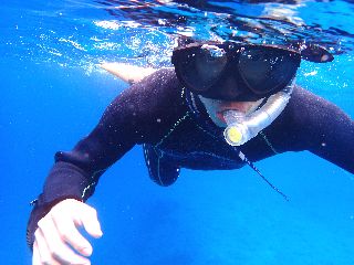 21/05/12　水温が25℃を越えてきましたよー！！　慶良間