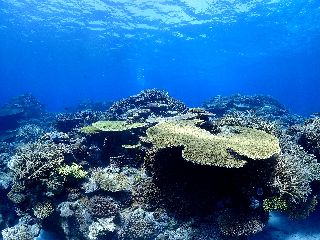 21/07/25　神様　沖縄本島