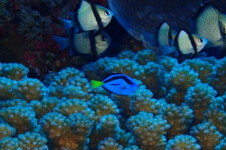 210815 dory.jpg