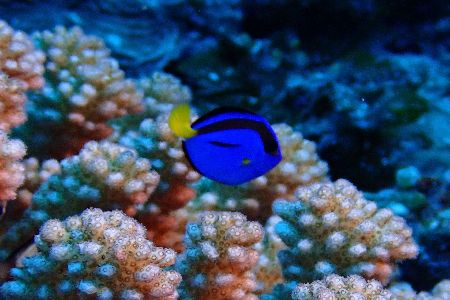 210818 dory.jpg