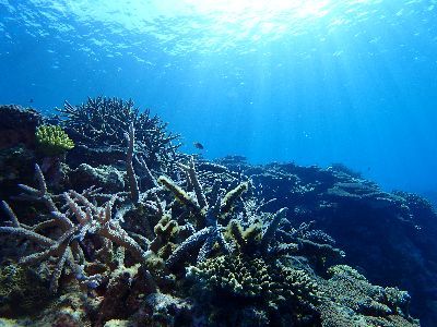 21/10/16　平和って永遠には続かないもの。　慶良間