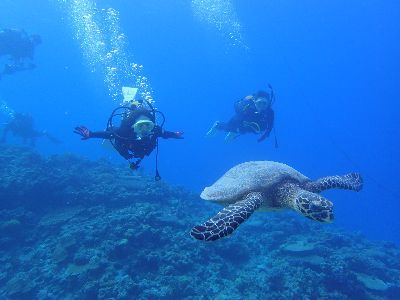 21/10/25　人気者に会える海　慶良間