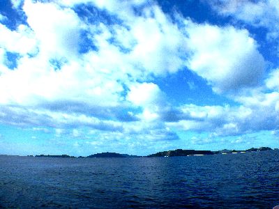 2201011.jpg
