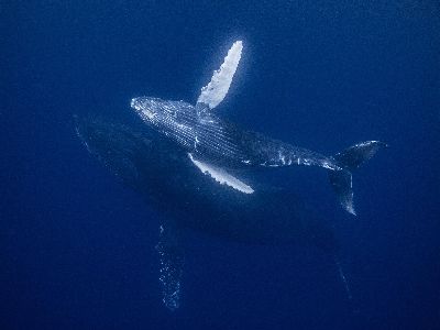 22/02/23　1回、1回を大切に！ホエールスイム　沖縄本島