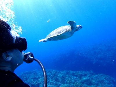 22/03/15　ホエールスイムもあとたった6日間　沖縄本島、チービシ