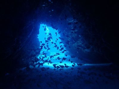 22/04/09　サンゴあり地形あり！　慶良間、チービシ諸島