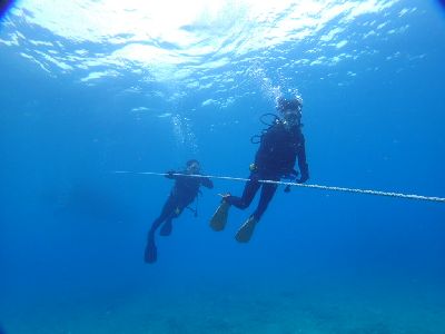 22/06/16　海の中はもう夏に！　慶良間、チービシ諸島