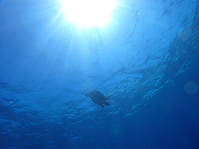 22/06/20　夏、スタートです！　チービシ諸島