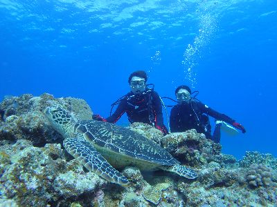 22/10/06　穏やかで平和な水中が続いてます。　チービシ諸島